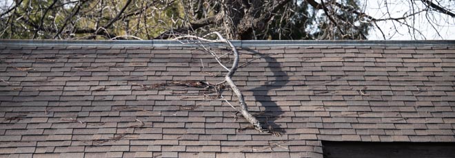 fallen tree branch on roof