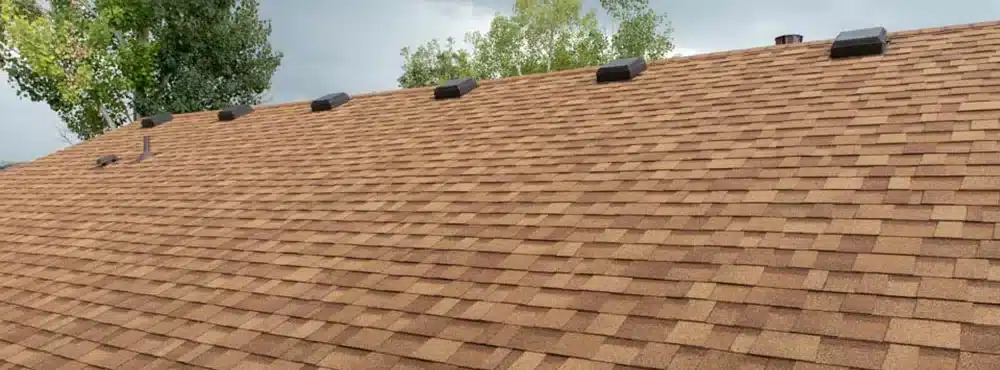 new asphalt shingle roof